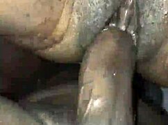 fucking my honey's sweet pussy in a casual intimate moment