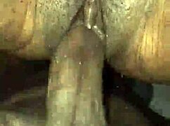 fucking my honey's sweet pussy in a casual intimate moment