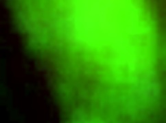 vecina follando en el baño