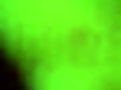 vecina follando en el baño