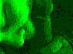 Amateur Wife Receives Special Facial Treatment