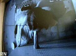 Texas Glory Hole Bathroom Action With Victoria Lowson Sucking Hard