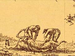 Vintage erotic illustration from retro comic cartoon