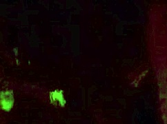 Well, when you know it's going down, this mature wife gives a cheating blowjob