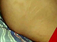 The Little Fox of the Villa in Spanish Countryside