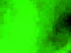 teen shows wet pussy with stepbro nearby