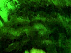 Best blowjob leads to mouthful cumshot