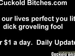 you get to watch him stretch my tight asian intimate area out