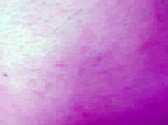 Amateur Blonde Couple Fucks In Cowgirl Riding