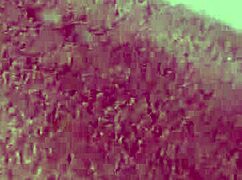 mature british whore in stockings gets handjob and creampie from monster cock