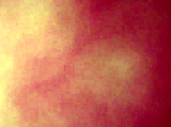 i love my wife's pussy, especially with big cocks around 😍