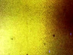 Tgirls xxx presents ava holt, young 18+ shemale masturbating solo.