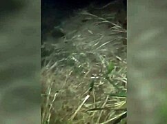 fat latina gives blowjob to friends on walk