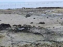 Pinay moans loudly during beach fucking adventure!