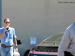 Las Vegas News Agency Investigates Us Postal Cosa Nostra Vs Furry Potato Affair