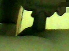 suck my cock before dinner honey with big oral?