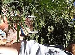 Hot Suck and Fuck in 420 Patch