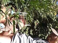 Hot Suck and Fuck in 420 Patch