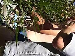 Hot Suck and Fuck in 420 Patch