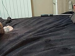 i fucked a real pornstar amanda x with big cock