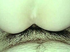 Amateurs Try Quick Anal Session