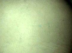 What if this fat BBW closet slut bent over in doggystyle reaches an intense orgasm?