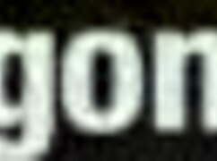 amirah adara in all internal creampie scene with group