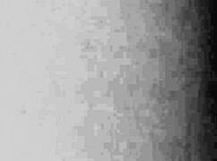 Ebony girl takes big black cock in POV blowjob scene