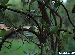 Gorgeous lesbian orally pleasing her gf