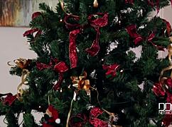 Holiday gift of a shaved pussy