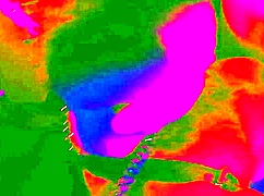 Halloporn Meeting Evil Wet Dreams Cometrue Orgy Halloween