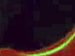 i went for a walk on the beach, found a big dick to fuck bent over, drank cum.