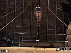 Amateurs Exploring Sadomasochism Practices