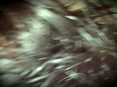 Stud Suck Swallows All