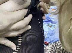 i'm a transsexual gatita caliente ready for some fun