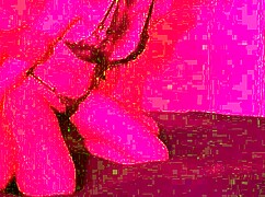 doggy style like a bitch getting fucked happily