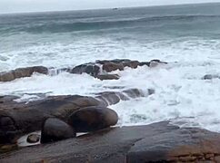 we're gonna fuck on a deserted trail