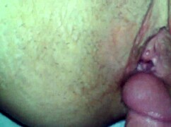 Me fucking irene's pussy