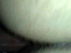 king sauce delivers a massive creampie to ebony pussy