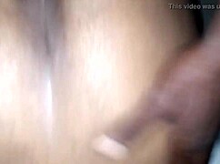 Ziggy and vicki fuck pussy