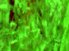 Hey, ever tried getting off on the grass like this with a dildo?