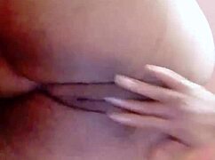 sundaydogood614 update 44 c360vid 20240128 163133 jan 29 2024