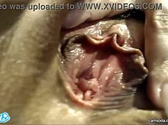 Adriana chechik unleashes powerful squirts in bold scene