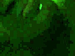 deep in the pussy from the back creampie 😏