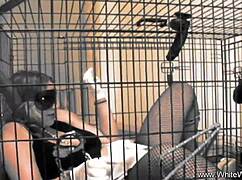 Watch This Blonde Couple Engage in Intense Interracial Sex