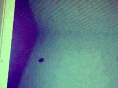 Gokcan Webcam Show 1 With Sexy Tease