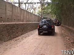 Immaculate shemale meets impressive cock in suggestive encounter