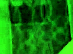 Playing Hard with My Juicy Fat Pussy Till Squirting!