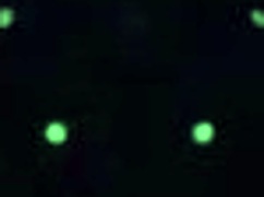 First Time Passive Gay Experience In Garanh�o