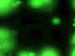 Grace faces humiliation in Labyrinth Town part 21 with blowjobs and fingering.